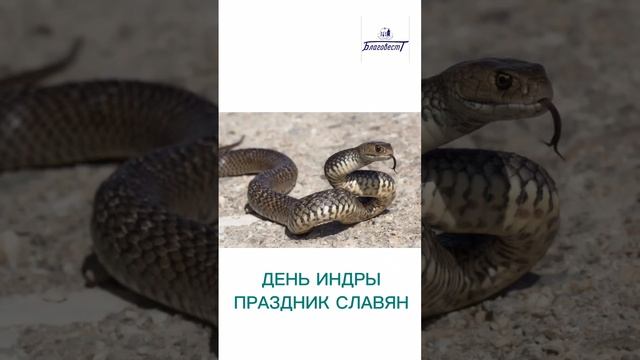 Какой сегодня день 18 января #2025 #благовест #АндрейЛишин  #sizovsproduction Фонд Благовест