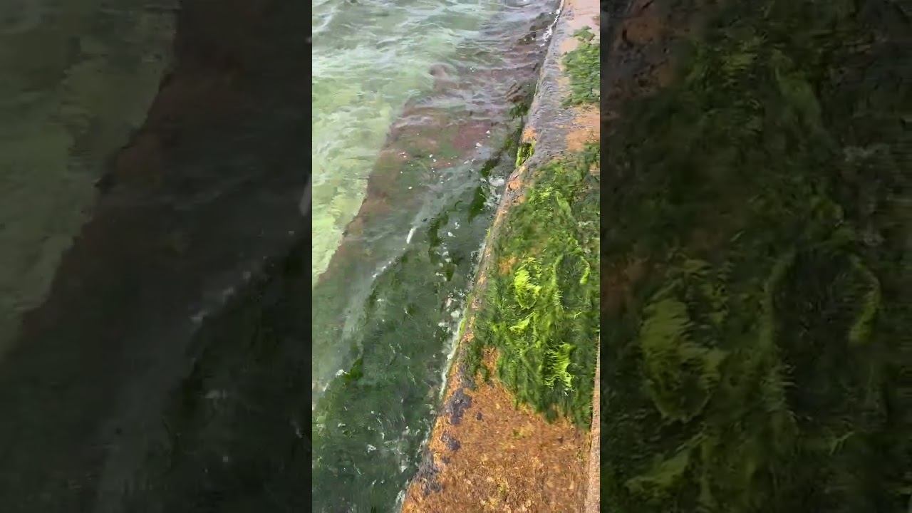 Небольшие морские волны бьются с брызгами о бетонный парапет