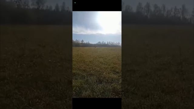 Ралли эндкро на даче