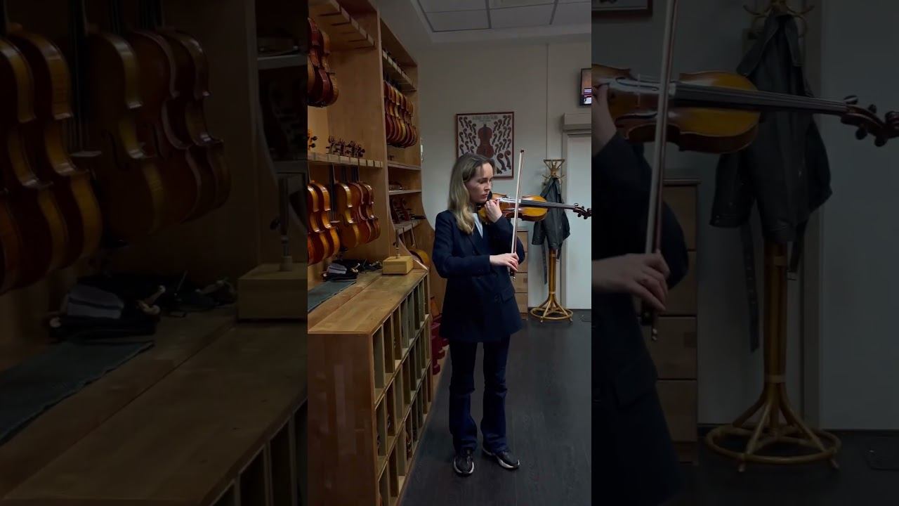 Провели акцию «неделя открытых дверей» в Доме скрипки «Scroll Fine Instruments»