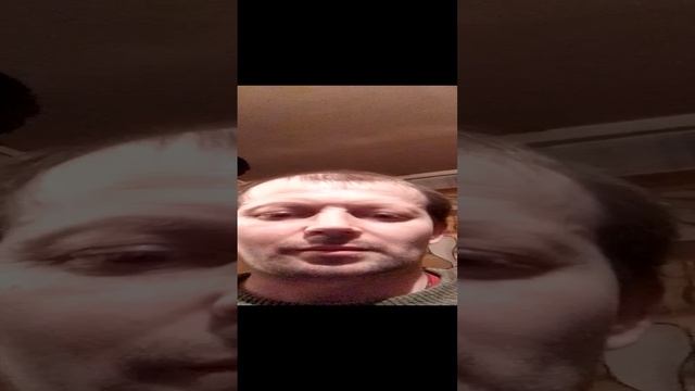 Две мыши разговаривают.