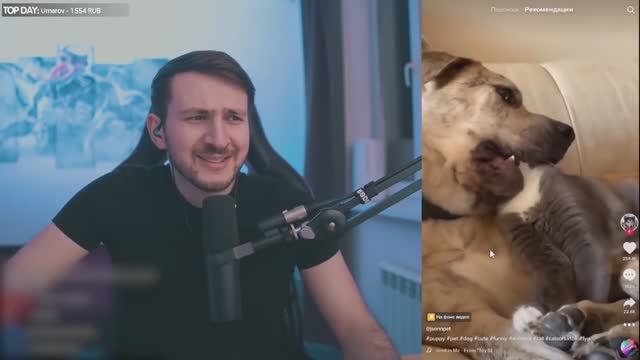 у них 100% СХОЖЕСТЬ с актрисами ТИКТОК