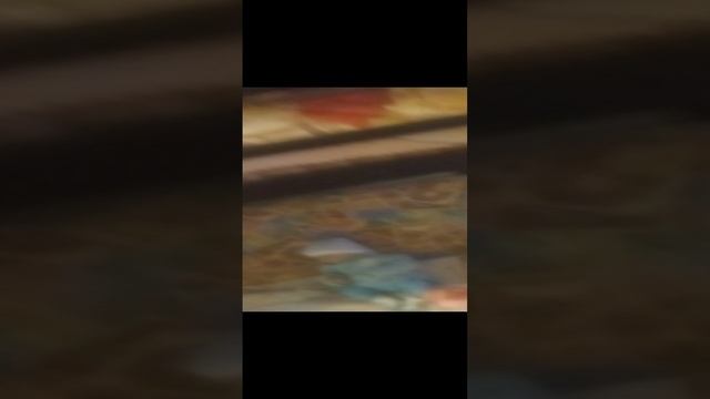 1000024068.mp4