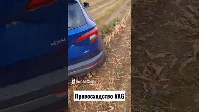 Skoda Karoq 1.4 DSG 4×4 на бездорожье, диагональное вывешивание