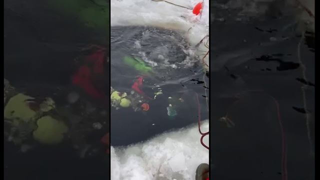 Ice diving