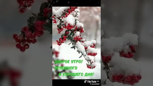 3ed68ff8d919efd8623d5255a548c03f_1737180191686