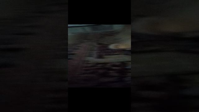 1 серия про моего кота буську