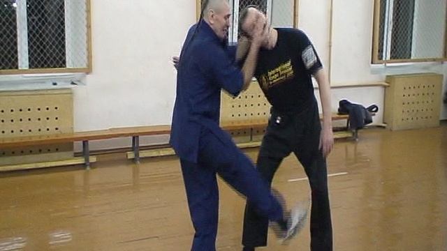 Seminar_Romanova_clip