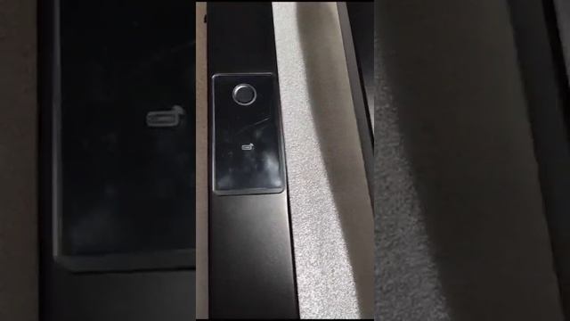 Ручка скоба с биометрической панелью с Face ID