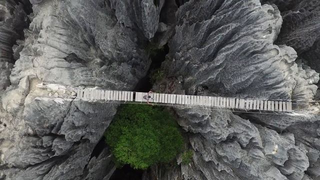 Stone Forest