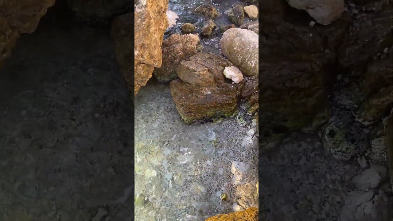 Прозрачные волны плескаются о красивый каменистый берег у подножия скалы #море #seawaves #stones