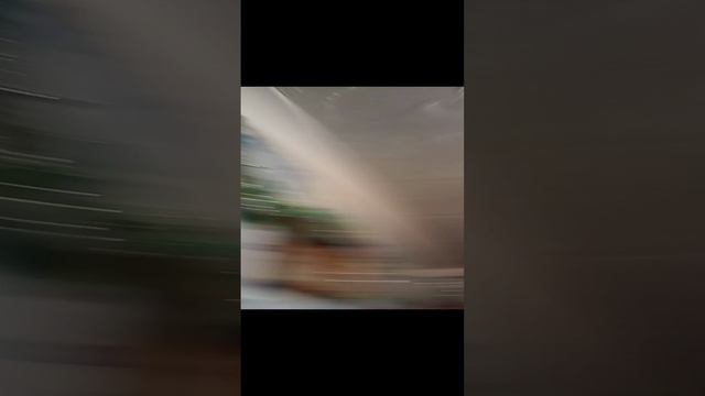 Все мои медали