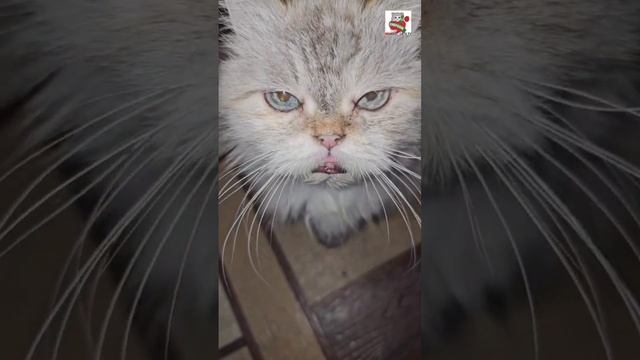 Ребята сидят и думают как провести им этот день который никогда больше не повторится 🌞❤️😻