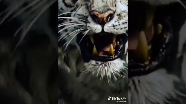 1000055099.mp4