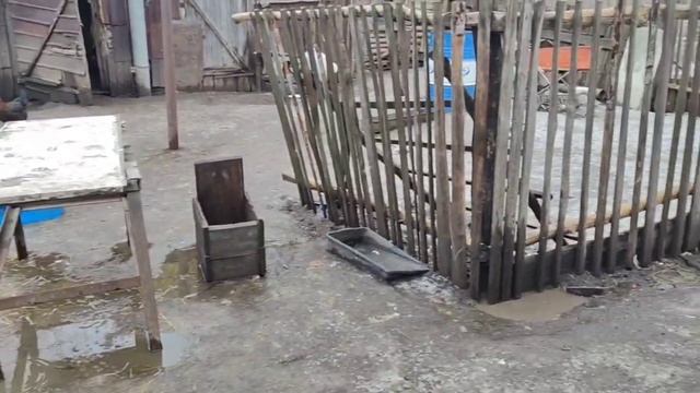 Как живут в русской деревне/Обзор нашего хозяйства/Уход за КРС