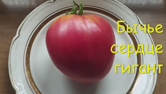 ТОМАТЫ. Крупноплодные сорта томатов.