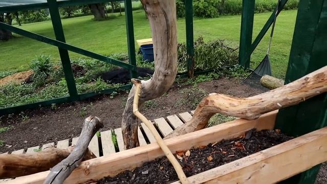 Check Out Our Outdoor Aviary with our Cockatoo African Grey Amazon Quaker Parrots and Conures