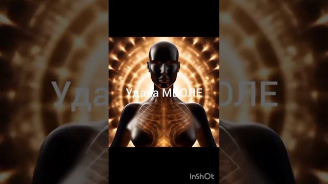 Удача МБОЛЕ