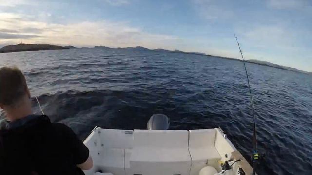Ocqueteau Ostrea 600 Fishing in Gulen, Norway