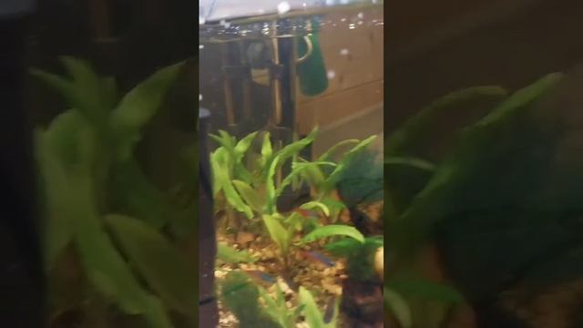 1000170522.mp4