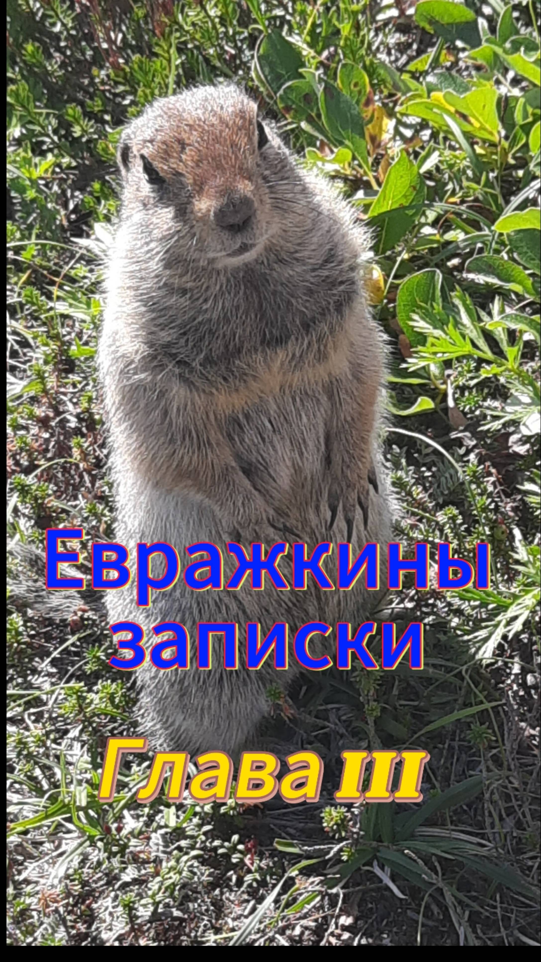 Евражкины записки. Глава III