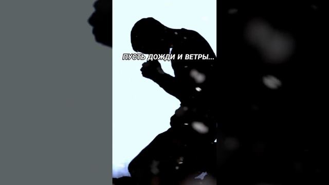 scene_output.mp4
