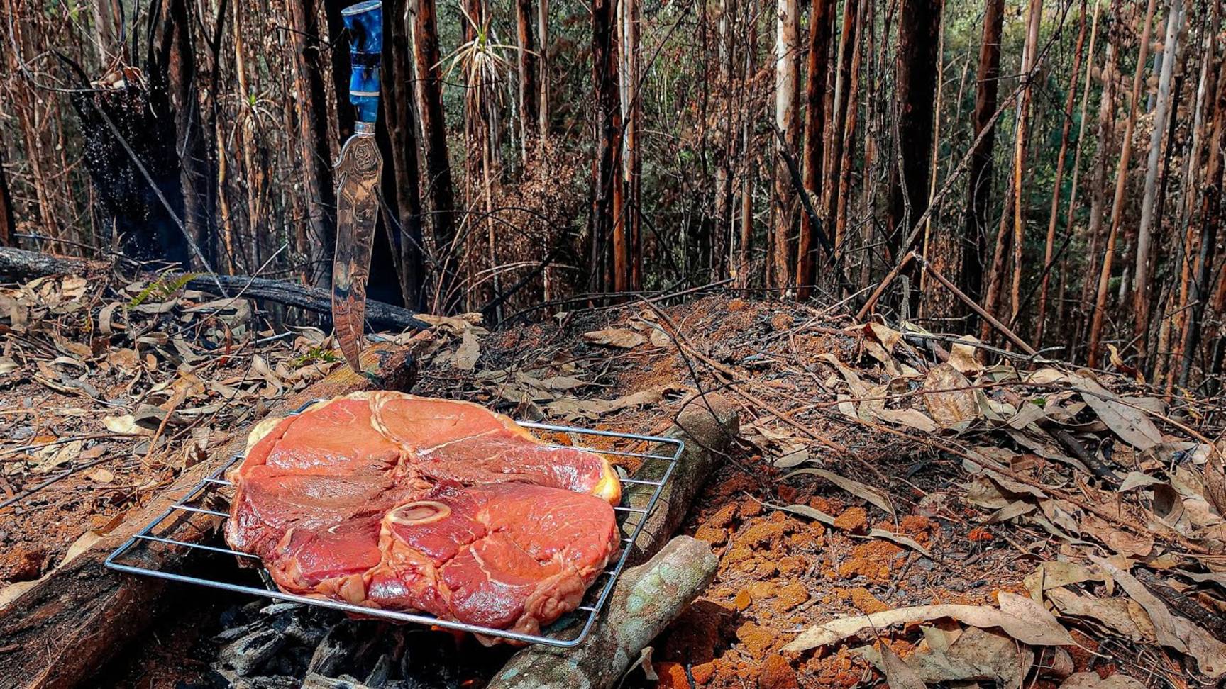 Стейк "Капитан" на гриле