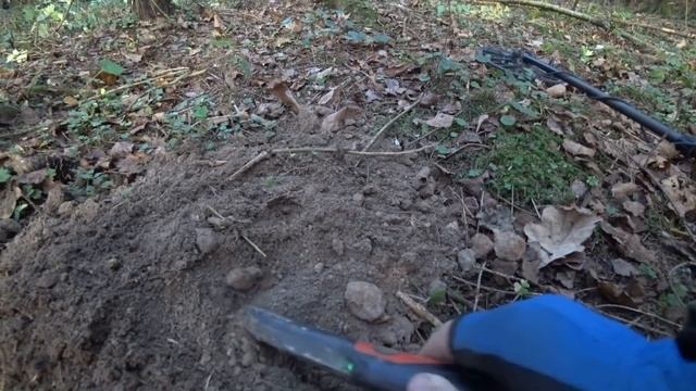 КОП В ЛЕСУ НА УДЕЛЬНОМ МЕСТЕ. НАХОДКИ ЕСТЬ. Кладоискатель Руся.