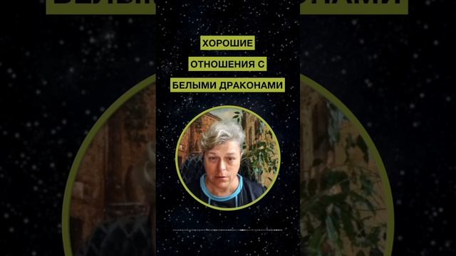 Черные и белые Драконы. Мария Шлоен #shorts