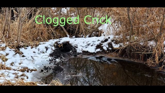 Tannerite vs Clogged Creek