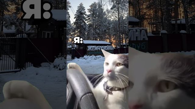 Желаем хороших выходных!