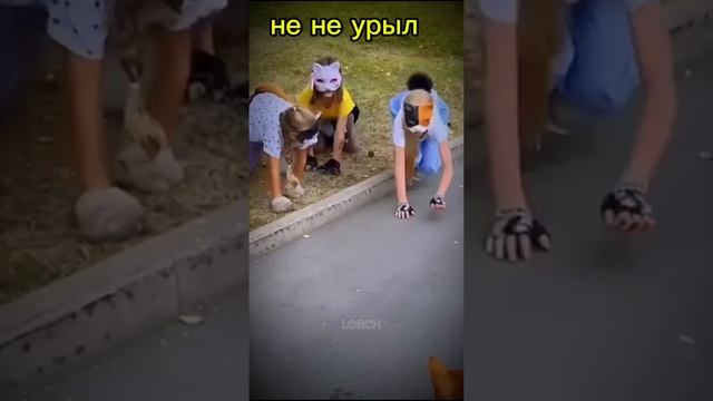 не урыл............................................(А ЗАКАПАЛ!💀)