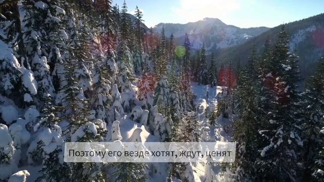 СЧАСТЬЕ ДОСТУПНОЕ ВЕЗДЕ И ВСЕМ