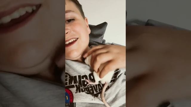 An Update On The Rats
