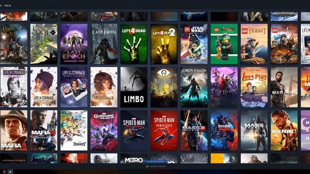 Любая игра Steam, огромная библиотека Steam. Assetto Corsa EVO, Life is strange double exposure и др