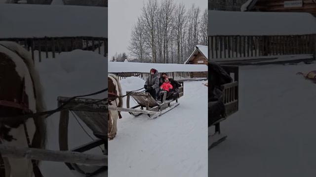 Сани выручают