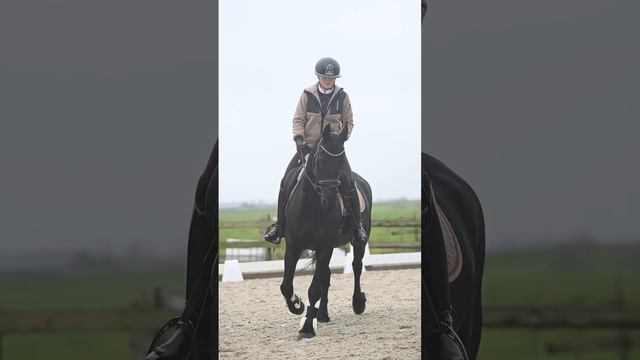 #лошади #спорт