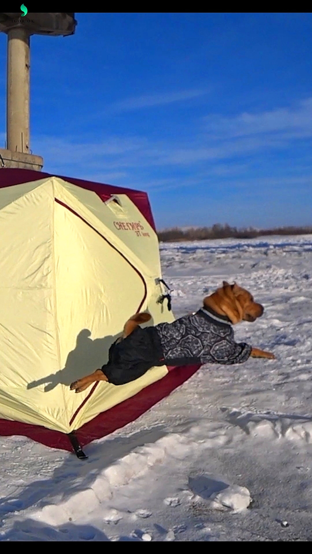Вечерняя рыбалка в Январе(тизер)