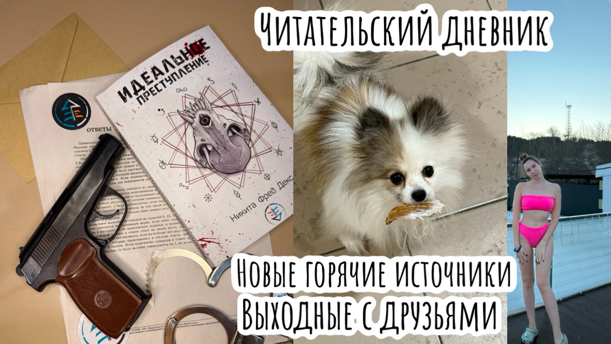 Книжный влог /горячие источники /выходные с друзьями /читаю жуткий триллер "Идеальное преступление"