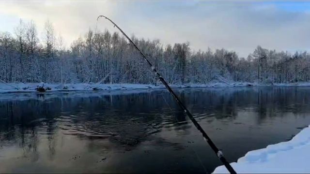 1000021849.mp4