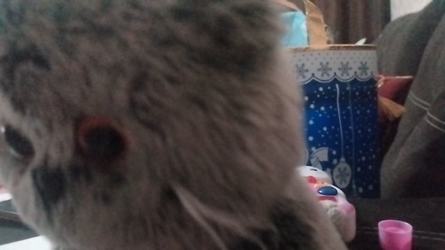 2часть самый лучший день басика, извините, что 1 часть лагала
