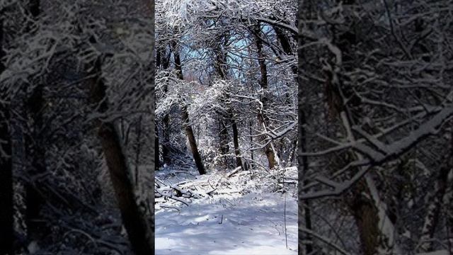 Как же красиво сказал Омар Хайям, чтобы жизнь свою прожить достойно, Нужно помнить два основных прав