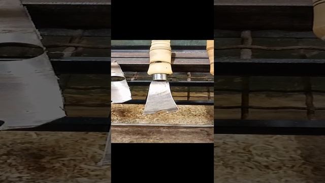1000016197.mp4