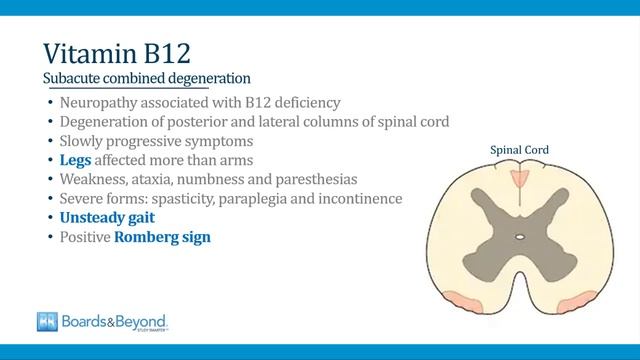 4.Macrocytic Anemia