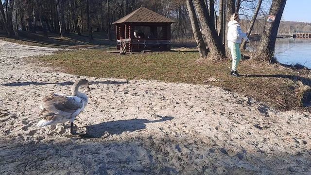 Немножечко релакса: природа, река, лес.🌲🌲🌲🌿☘🍀 Отдых.😊