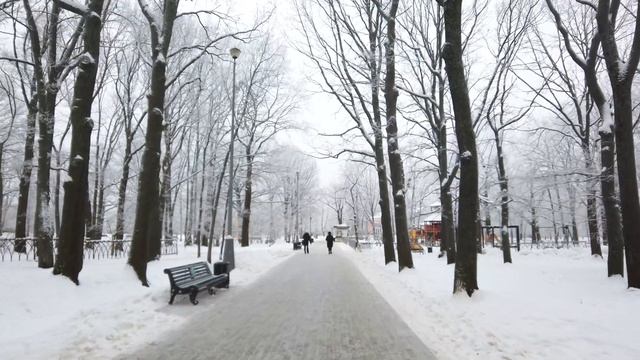 Прогулки по Москве ❄ Воронцовский парк - зимняя прогулка