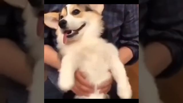 Ла Ла Ла Ла Ла Ла ла