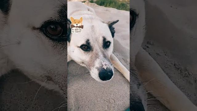 мой видос с вкhttps://vk.com/clips/id506302461