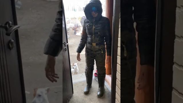 Грязнули #женька #shorts #youtubeshorts #trending #viral #comedy #like #reels #new #live #юмор