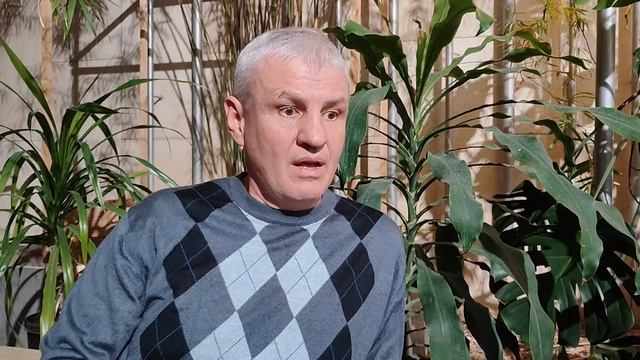 сосед